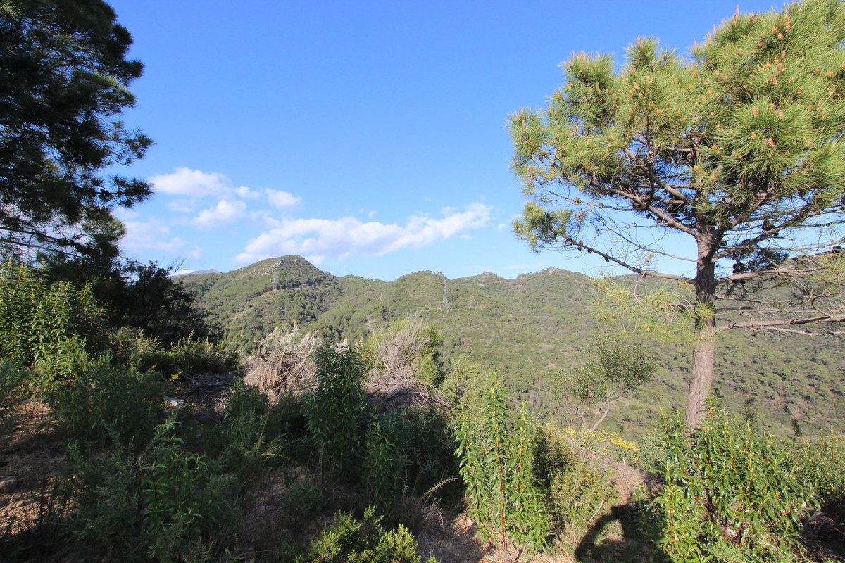 Plots for sale in Benahavís Costa Del Sol, Málaga, Spain