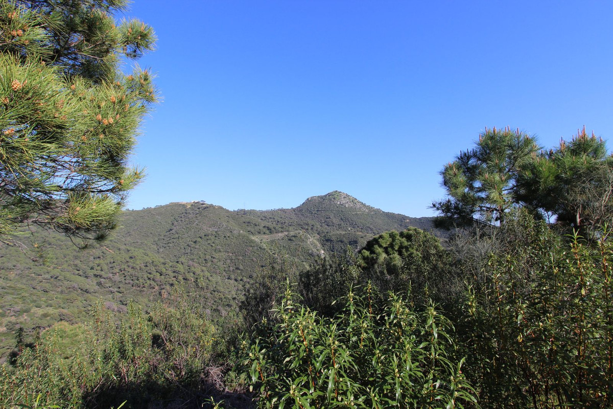 Plots for sale in Benahavís Costa Del Sol, Málaga, Spain