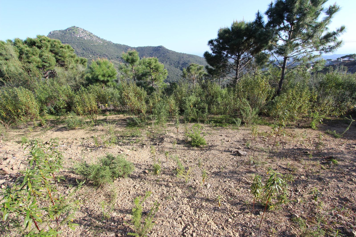 Plots for sale in Benahavís Costa Del Sol, Málaga, Spain
