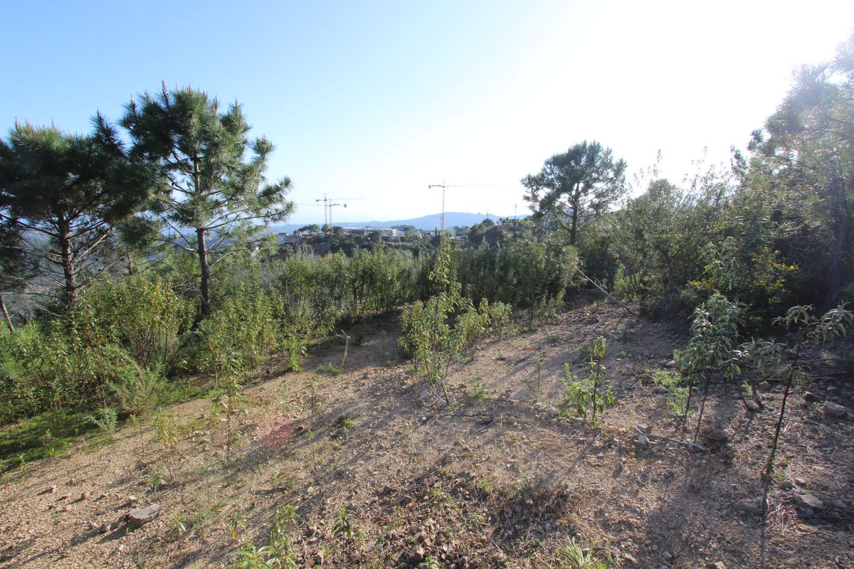 Plots for sale in Benahavís Costa Del Sol, Málaga, Spain