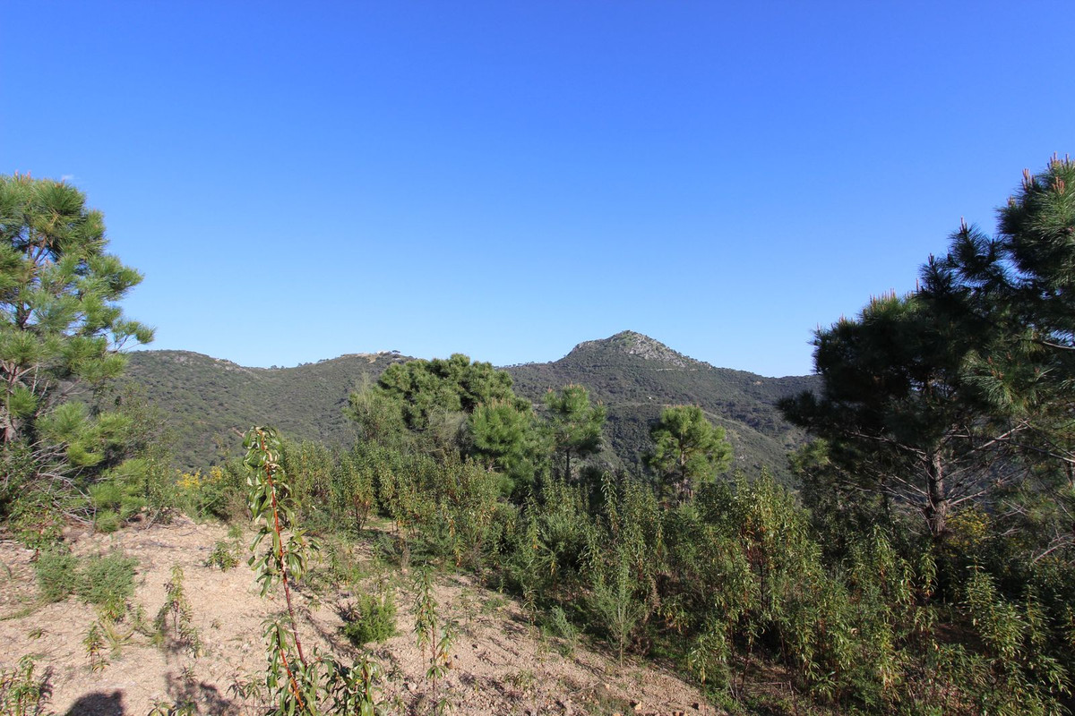 Plots for sale in Benahavís Costa Del Sol, Málaga, Spain