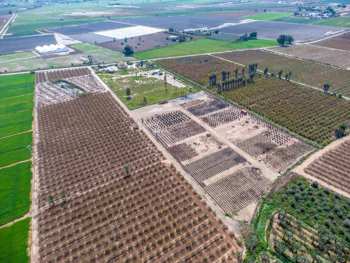 Se vende Finca - Cortijo de 5 dormitorios en Costa Blanca, Alicante, España