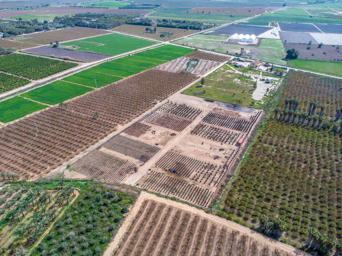 Se vende Finca - Cortijo de 5 dormitorios en Costa Blanca, Alicante, España