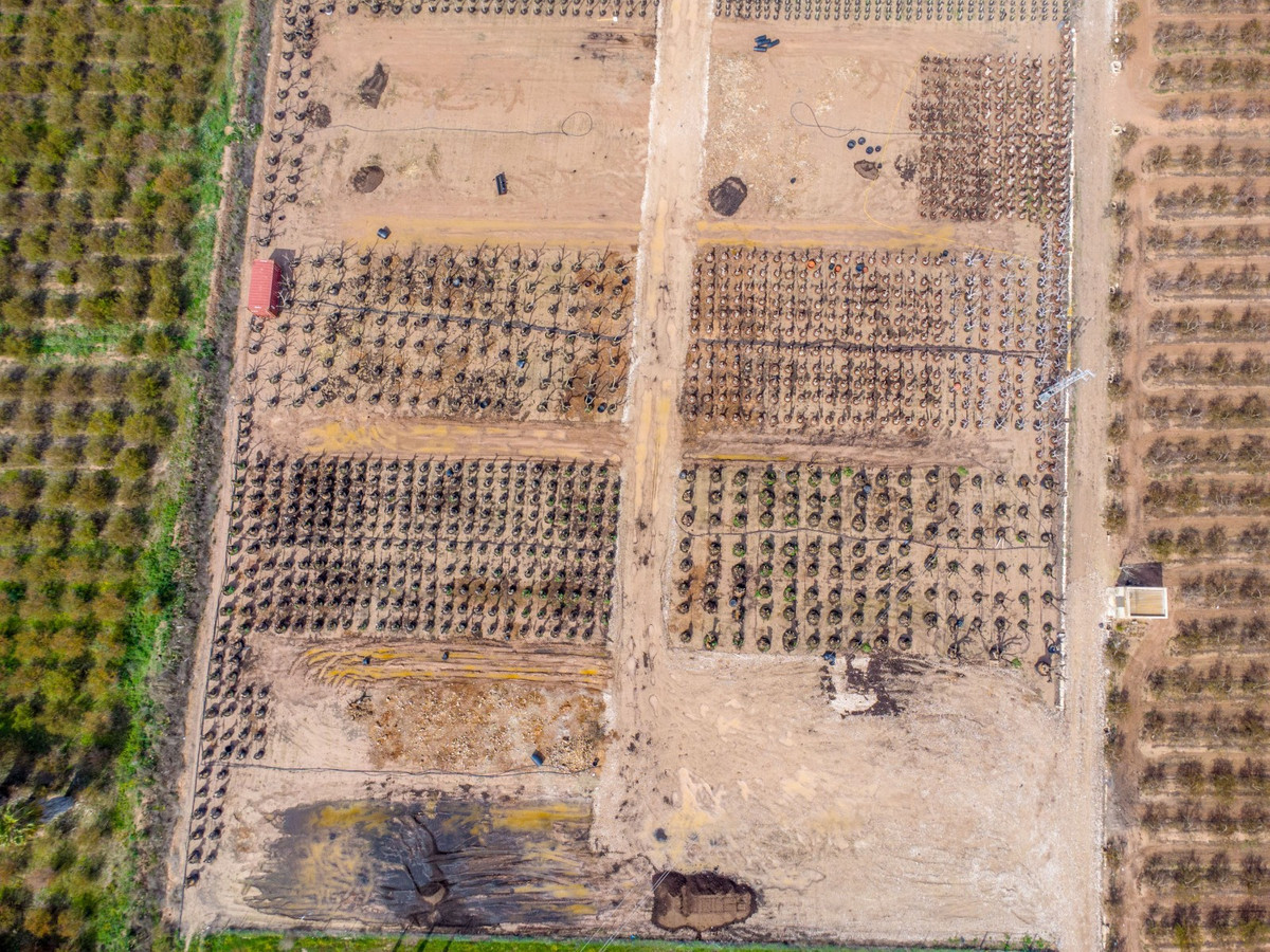 Se vende Finca - Cortijo de 5 dormitorios en Costa Blanca, Alicante, España