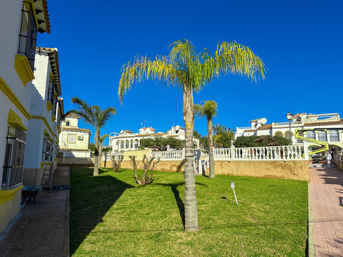 Se vende Apartamento Planta Baja de 1 dormitorios en Costa Blanca, Alicante, España
