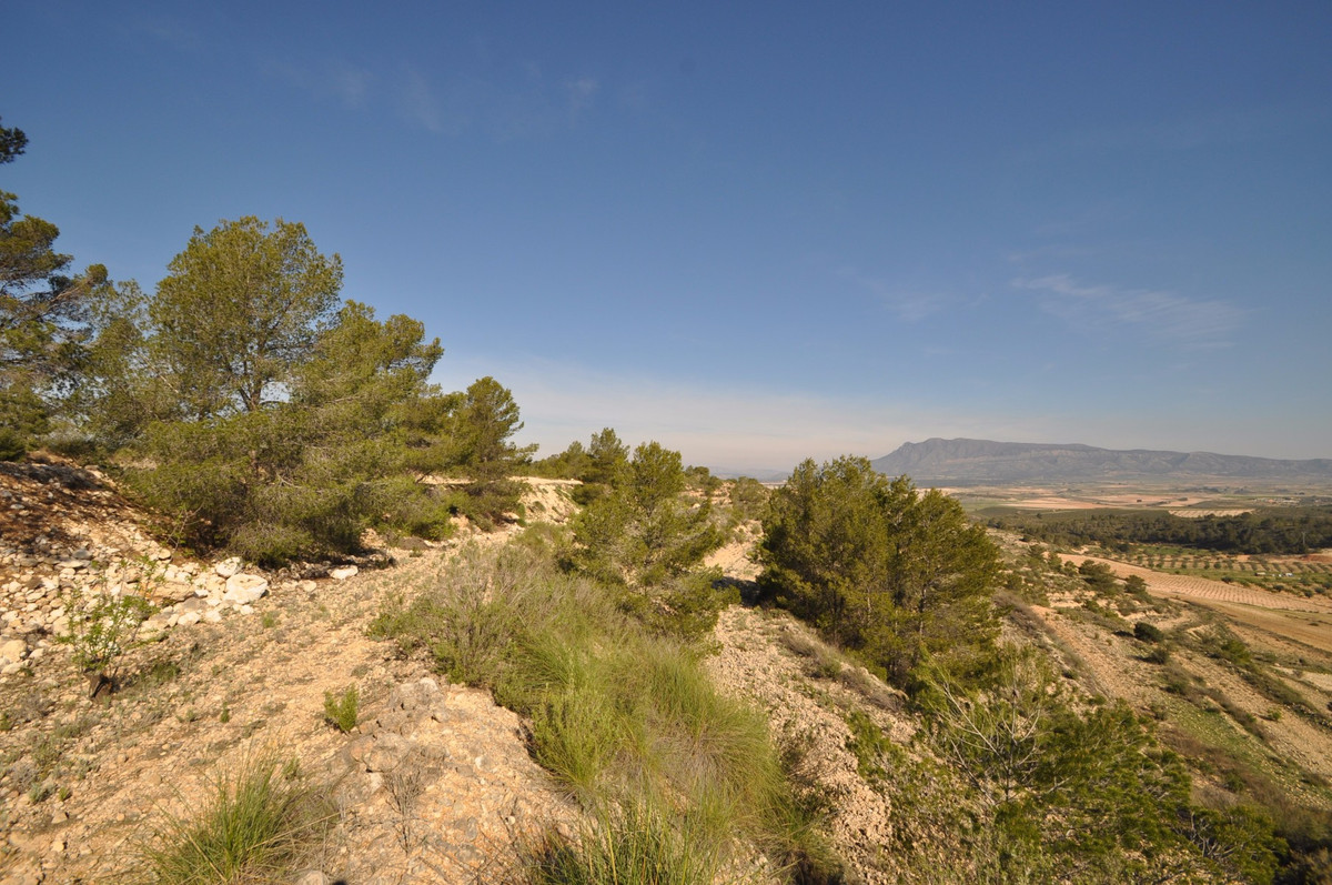Plots for sale in La Zarza Costa Calida, Murcia, Spain