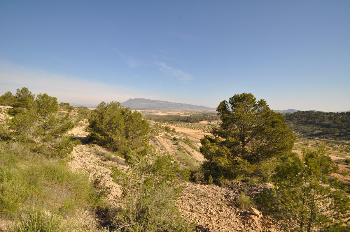 Plots for sale in La Zarza Costa Calida, Murcia, Spain