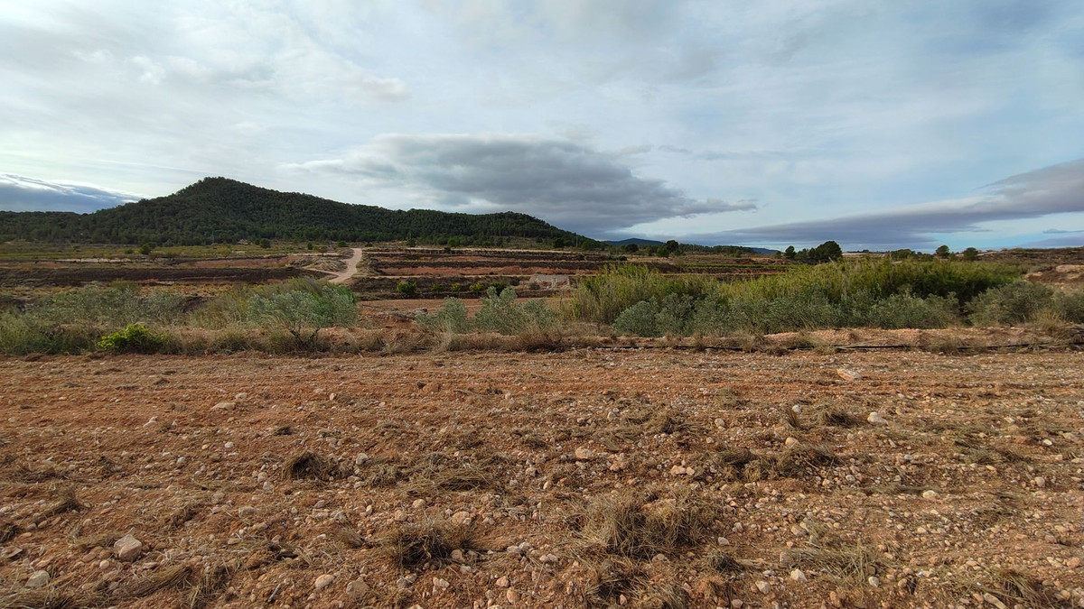 Plots for sale in Monóvar Costa Blanca, Alicante, Spain
