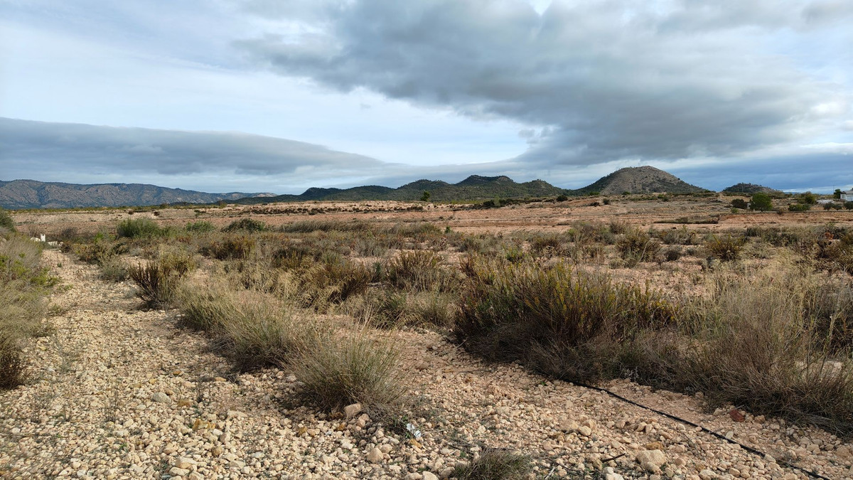 Plots for sale in Monóvar Costa Blanca, Alicante, Spain