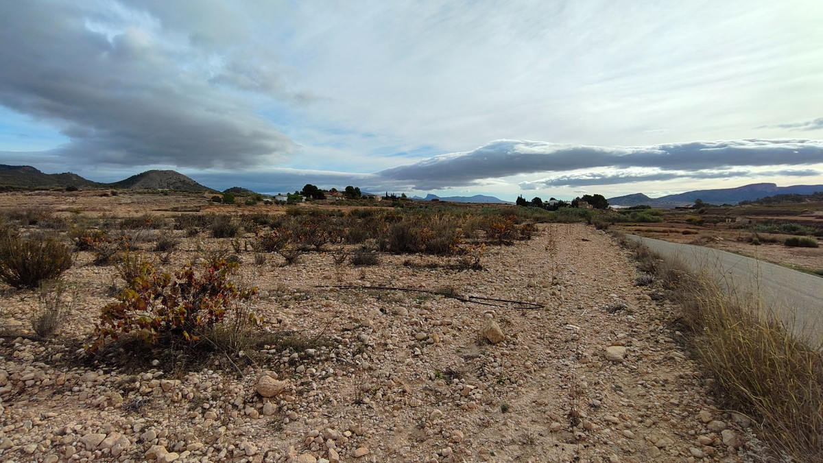 Plots for sale in Monóvar Costa Blanca, Alicante, Spain