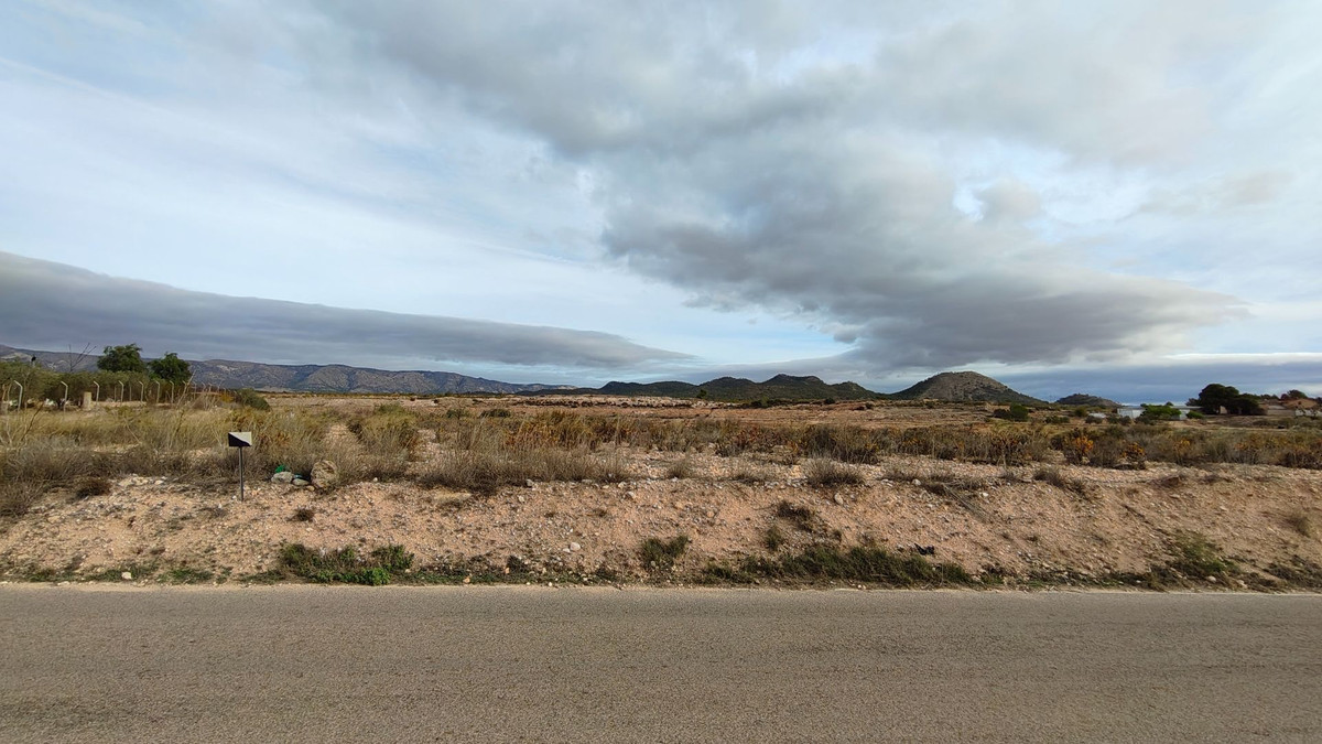 Plots for sale in Monóvar Costa Blanca, Alicante, Spain