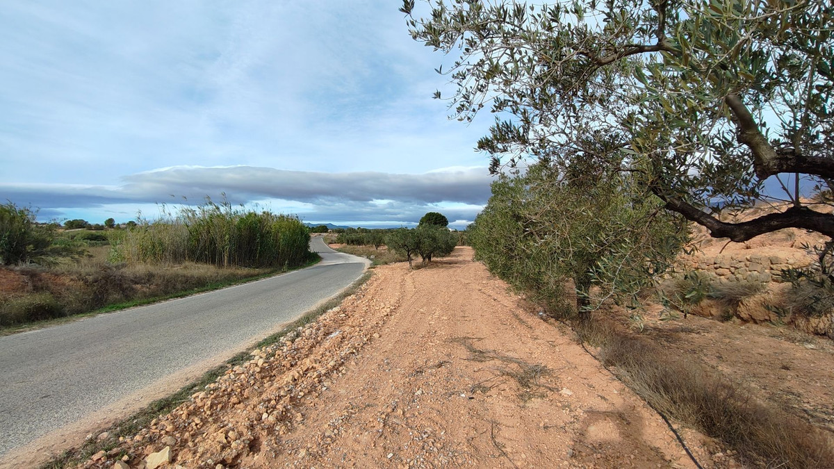 Plots for sale in Monóvar Costa Blanca, Alicante, Spain