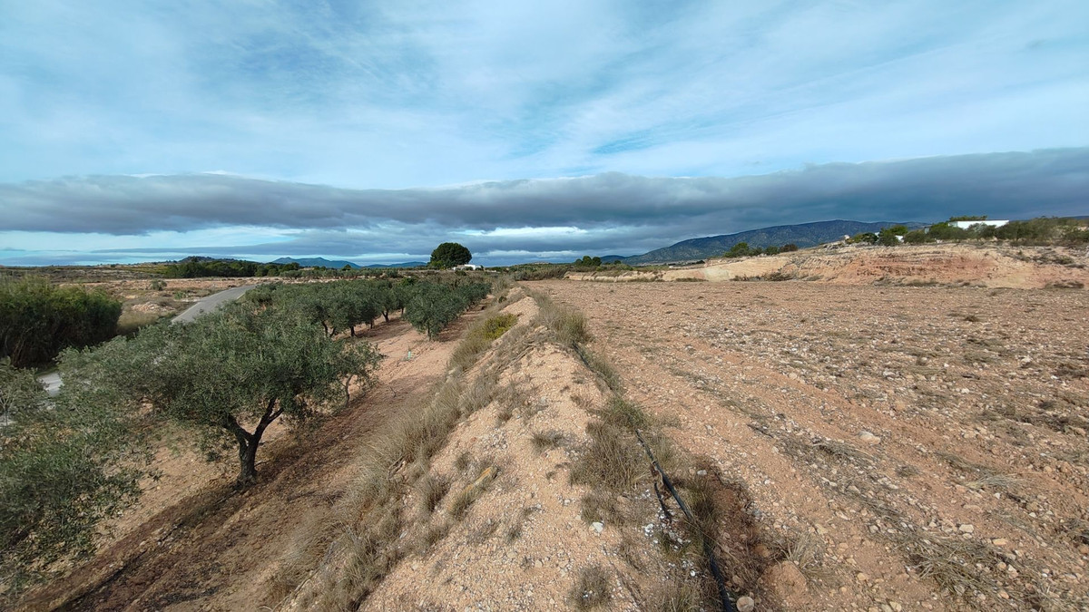 Plots for sale in Monóvar Costa Blanca, Alicante, Spain