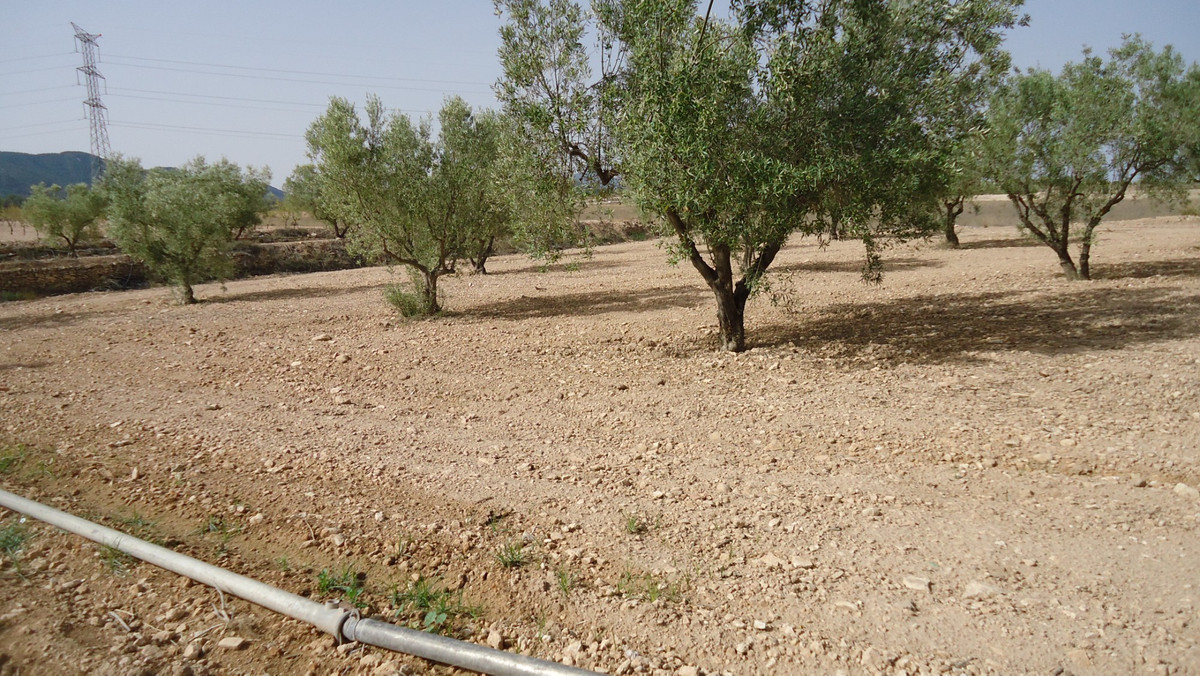 Se vende Terreno Rustico  en Costa Calida, Murcia, España