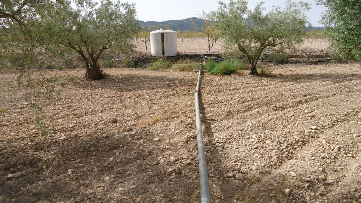 Se vende Terreno Rustico  en Costa Calida, Murcia, España