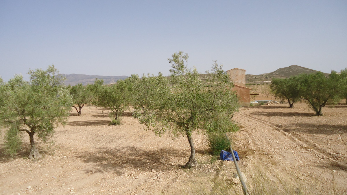 Se vende Terreno Rustico  en Costa Calida, Murcia, España