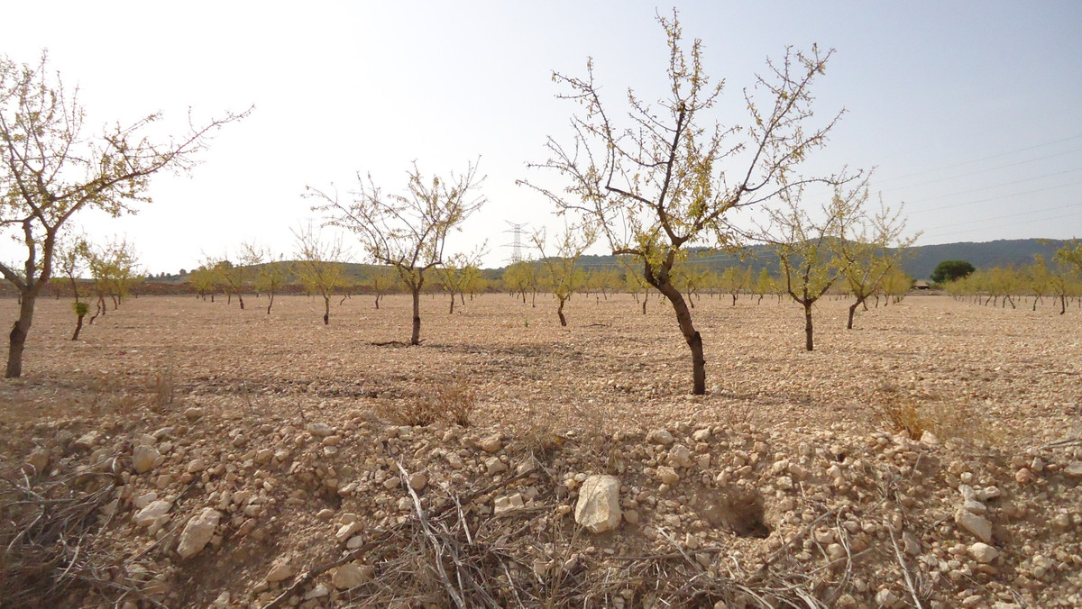 Se vende Terreno Rustico  en Costa Calida, Murcia, España