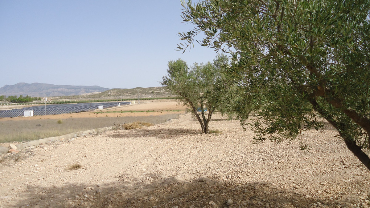 Se vende Terreno Rustico  en Costa Calida, Murcia, España
