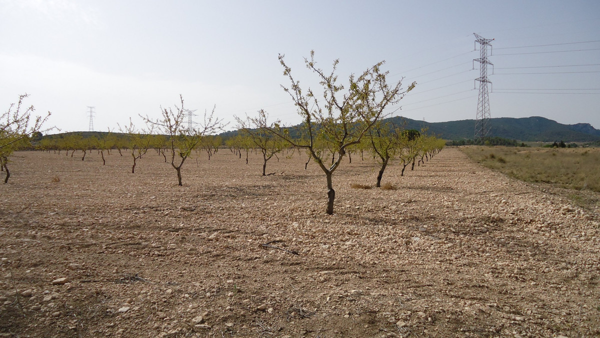 Se vende Terreno Rustico  en Costa Calida, Murcia, España