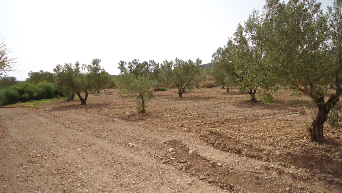 Se vende Terreno Rustico  en Costa Calida, Murcia, España