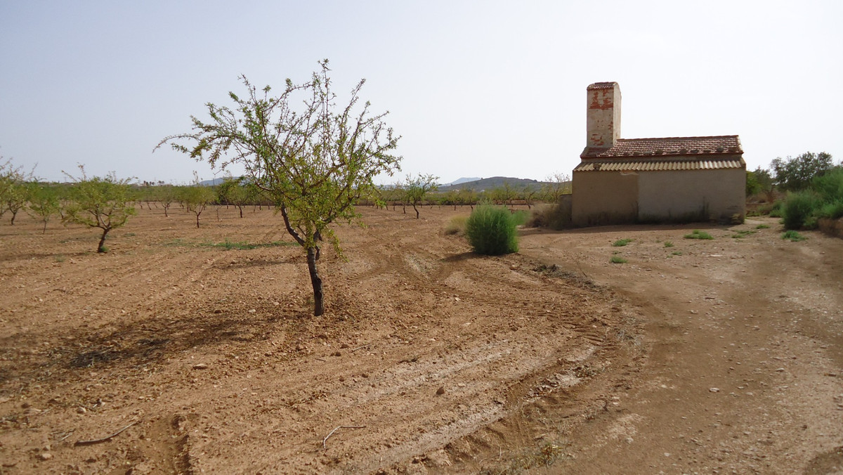 Se vende Terreno Rustico  en Costa Calida, Murcia, España