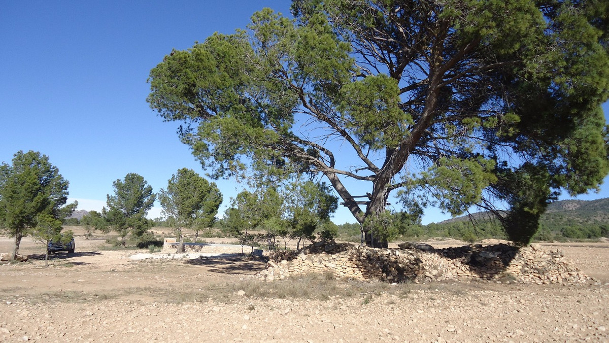 Se vende Terreno Rustico  en Costa Calida, Murcia, España
