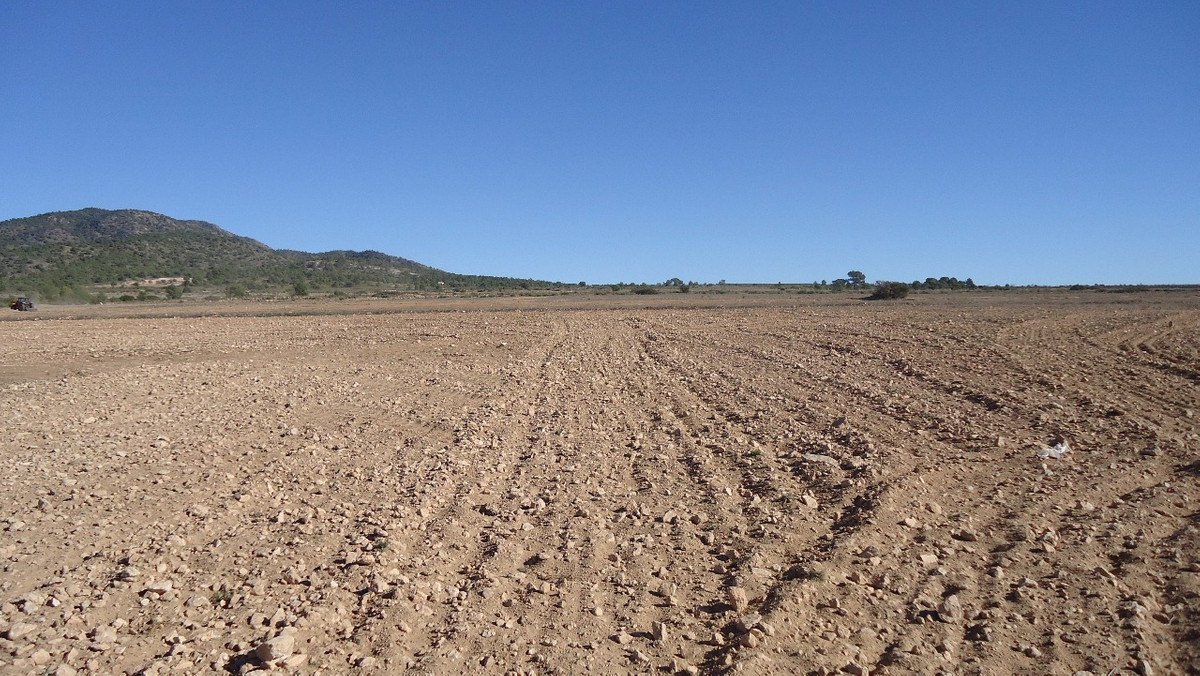 Se vende Terreno Rustico  en Costa Calida, Murcia, España