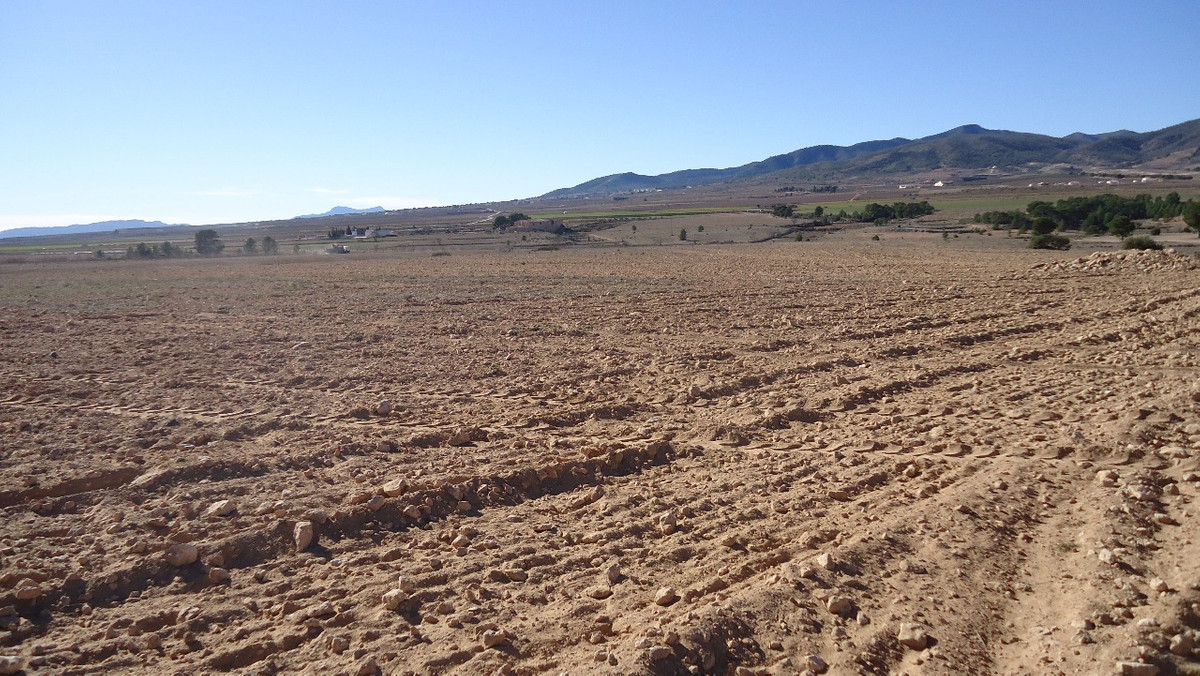 Se vende Terreno Rustico  en Costa Calida, Murcia, España
