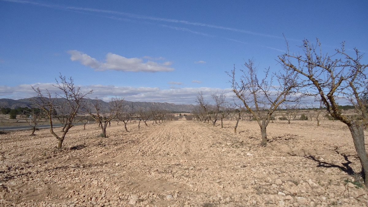 Se vende Terreno Rustico  en Costa Calida, Murcia, España