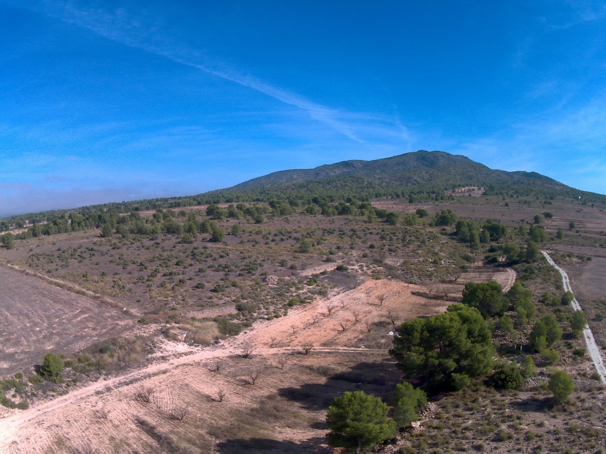 Se vende Terreno Rustico  en Costa Calida, Murcia, España