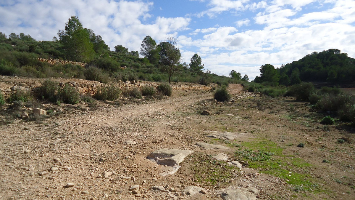 Se vende Terreno Rustico  en Costa Blanca, Alicante, España