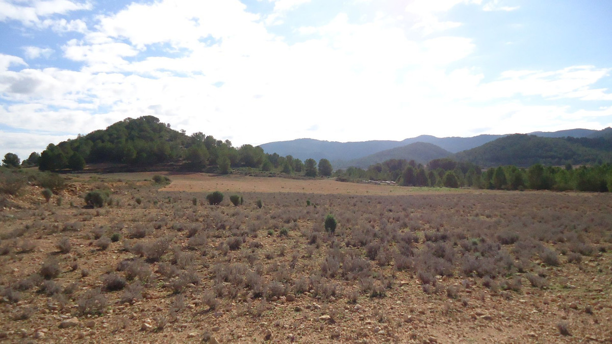 Se vende Terreno Rustico  en Costa Blanca, Alicante, España