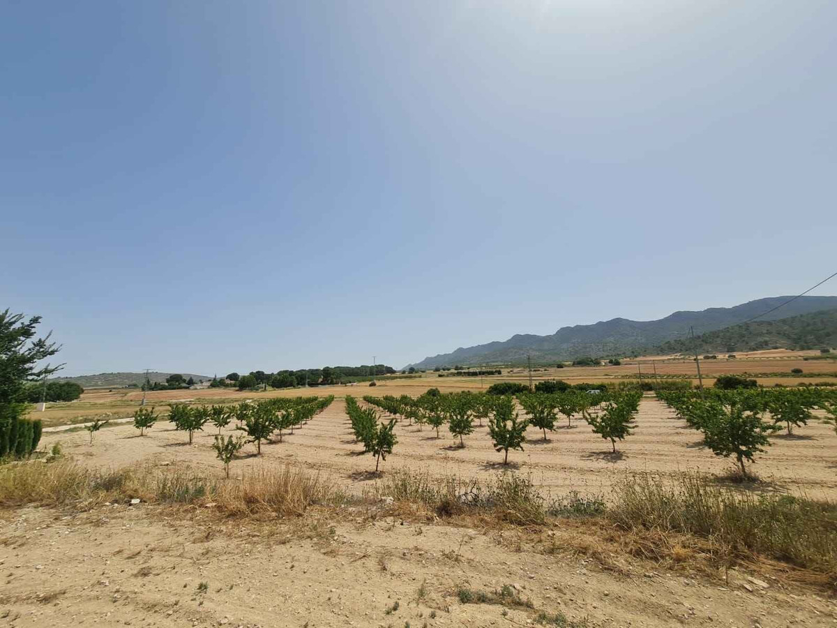 Plots for sale in Yecla Costa Calida, Murcia, Spain