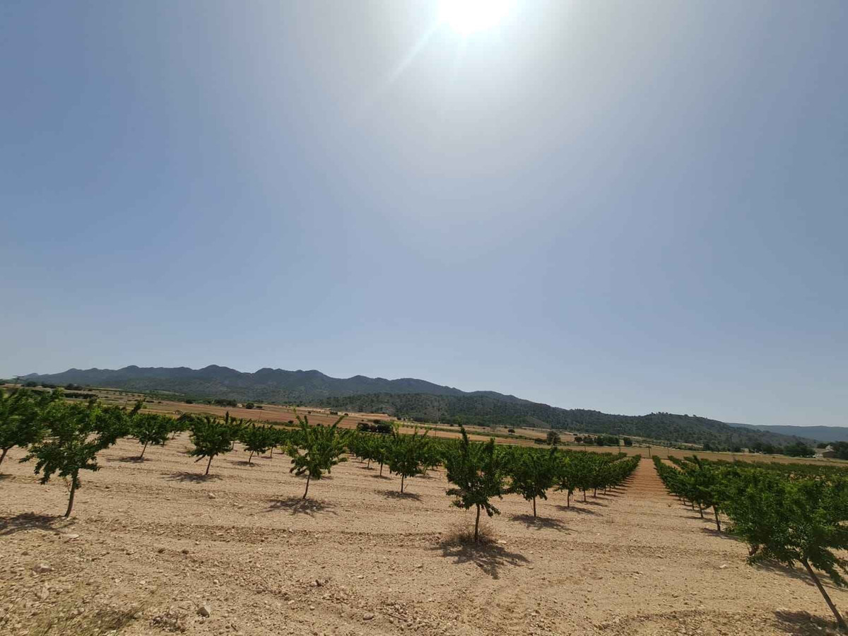 Plots for sale in Yecla Costa Calida, Murcia, Spain
