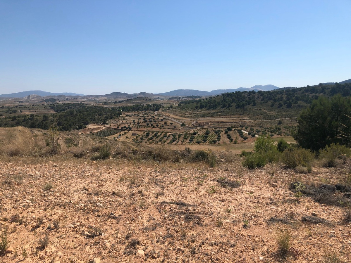 Se vende Terreno Rustico  en Costa Calida, Murcia, España