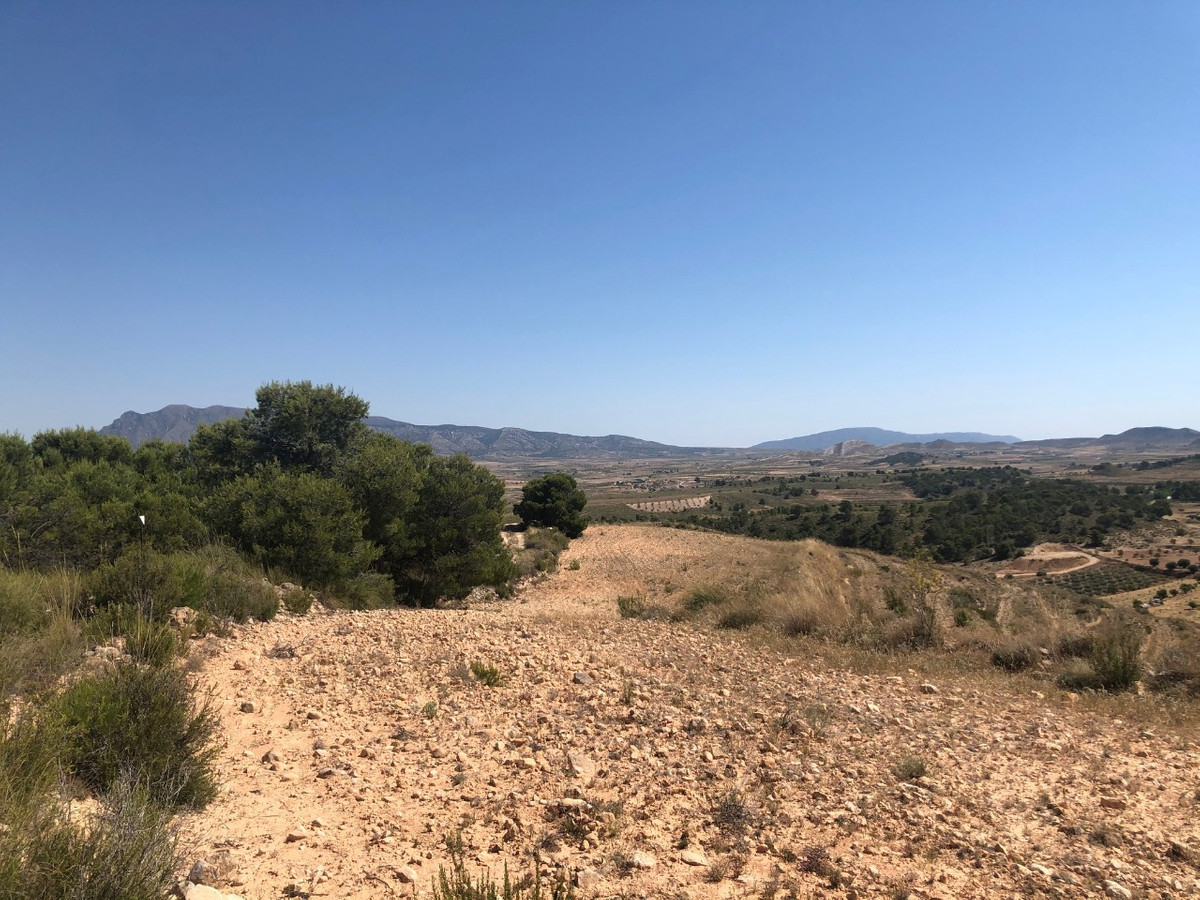 Se vende Terreno Rustico  en Costa Calida, Murcia, España