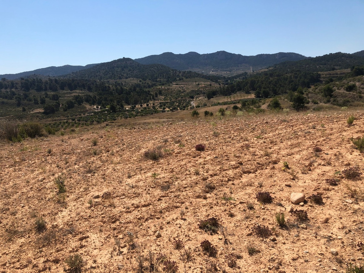 Se vende Terreno Rustico  en Costa Calida, Murcia, España