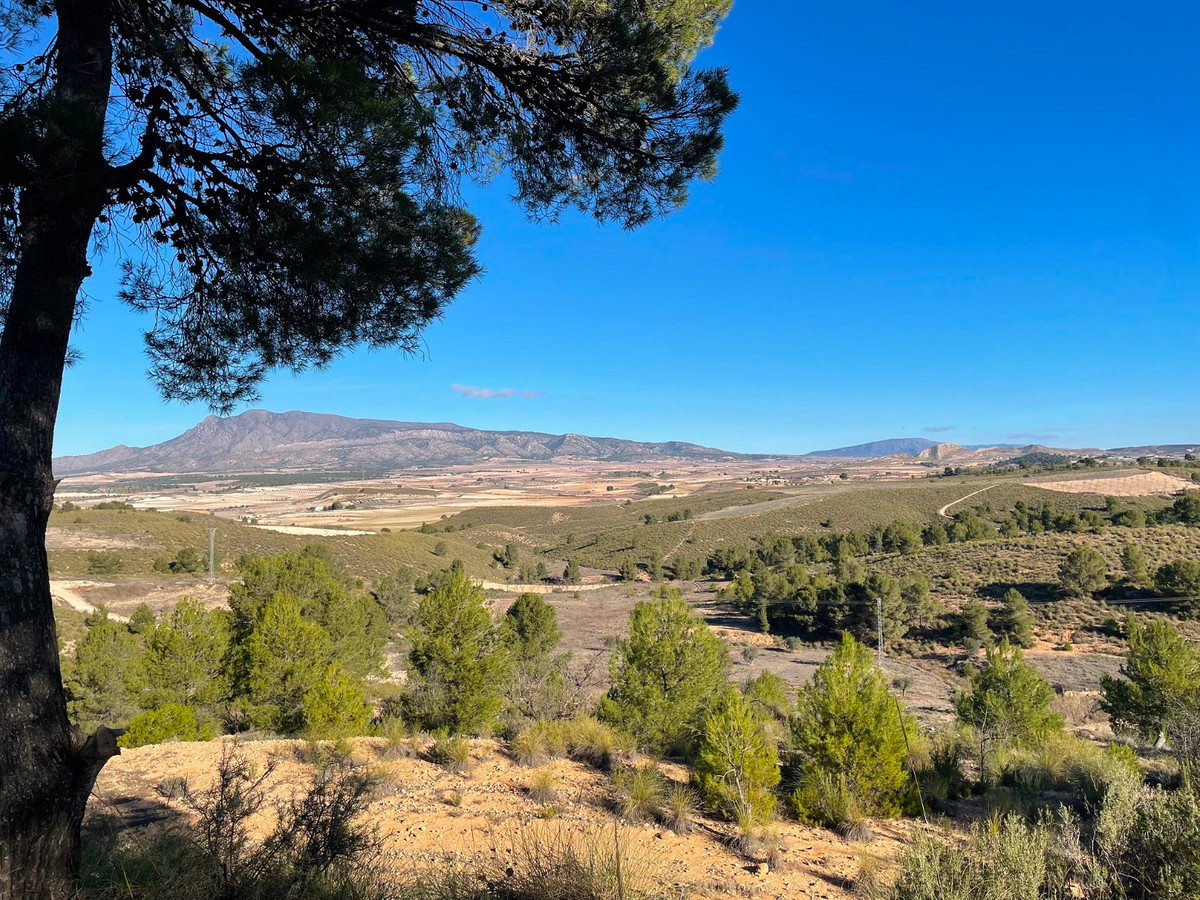 Se vende Terreno Rustico  en Costa Calida, Murcia, España