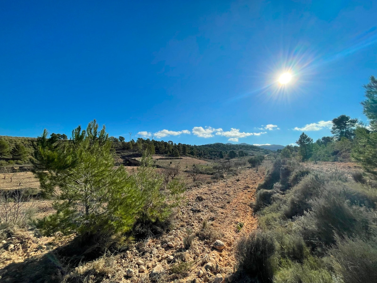 Se vende Terreno Rustico  en Costa Calida, Murcia, España