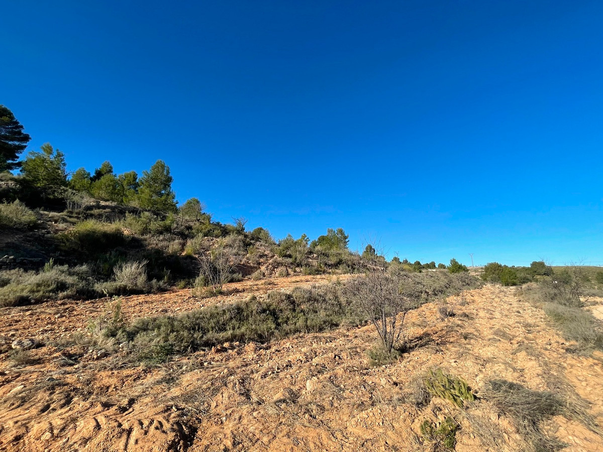 Se vende Terreno Rustico  en Costa Calida, Murcia, España