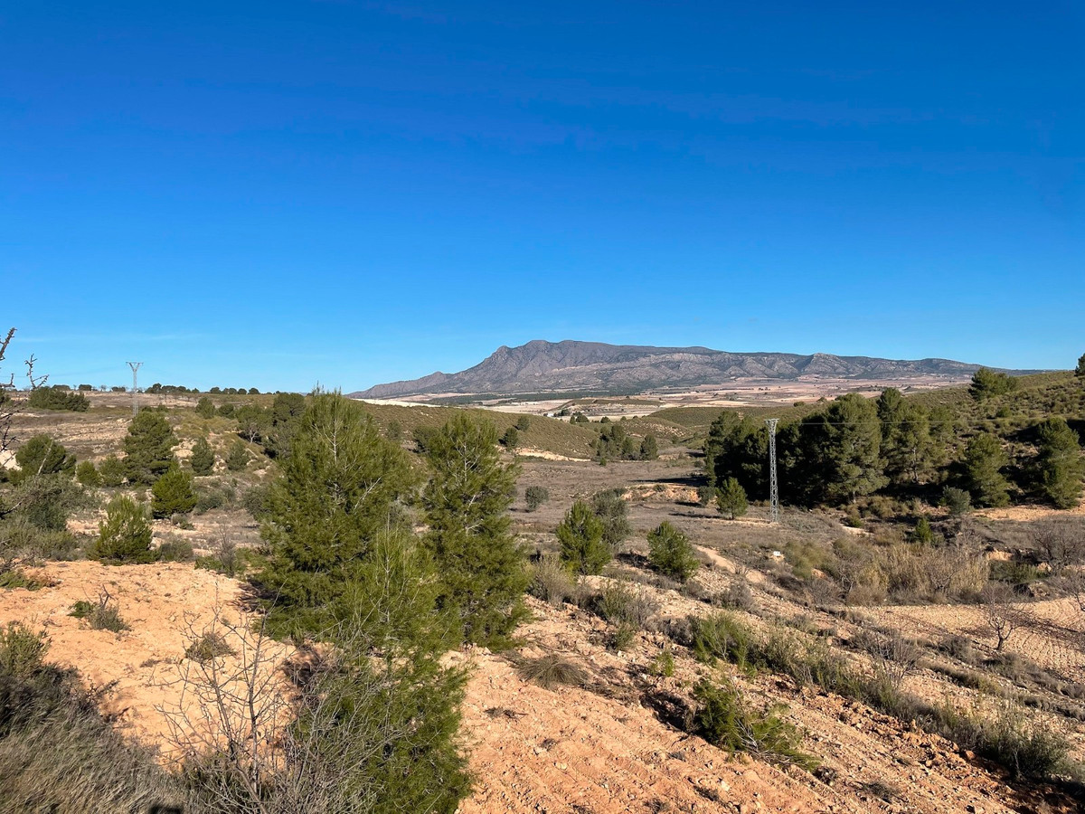 Se vende Terreno Rustico  en Costa Calida, Murcia, España