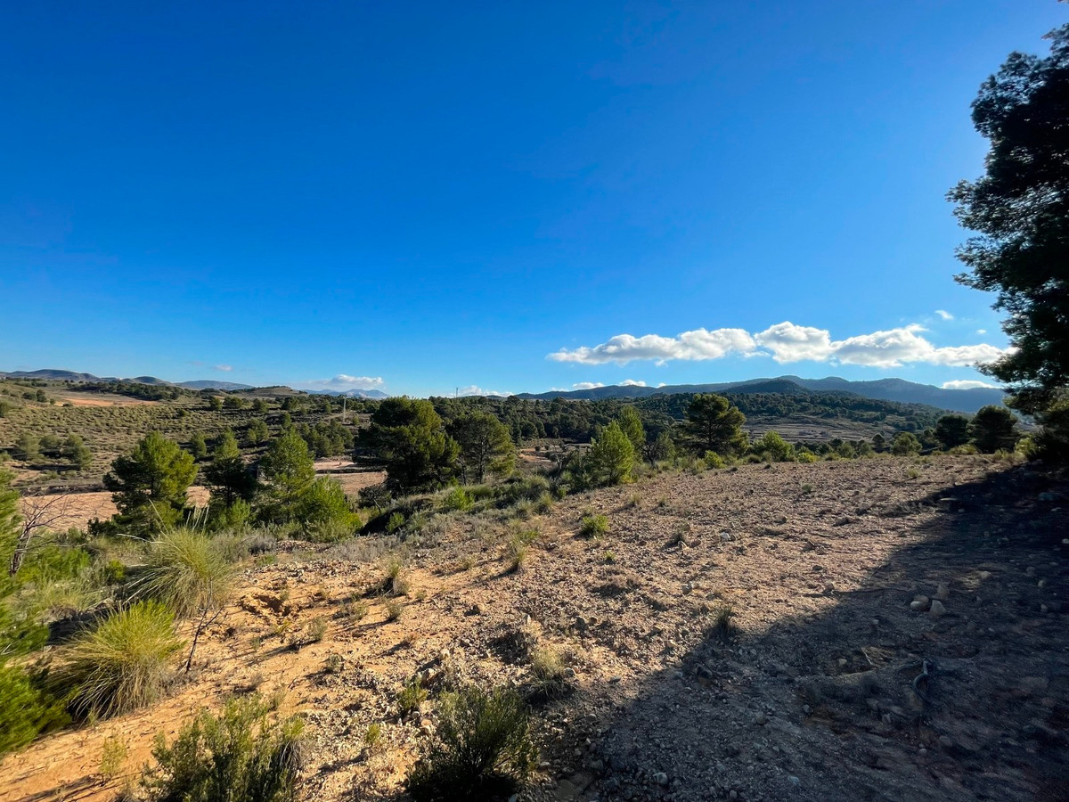Se vende Terreno Rustico  en Costa Calida, Murcia, España