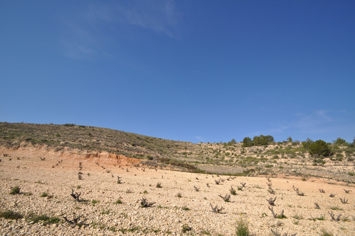 Se vende Terreno Rustico  en Costa Calida, Murcia, España