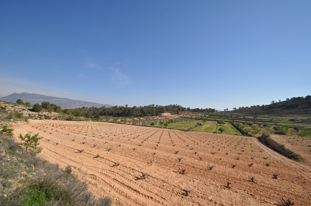 Se vende Terreno Rustico  en Costa Calida, Murcia, España