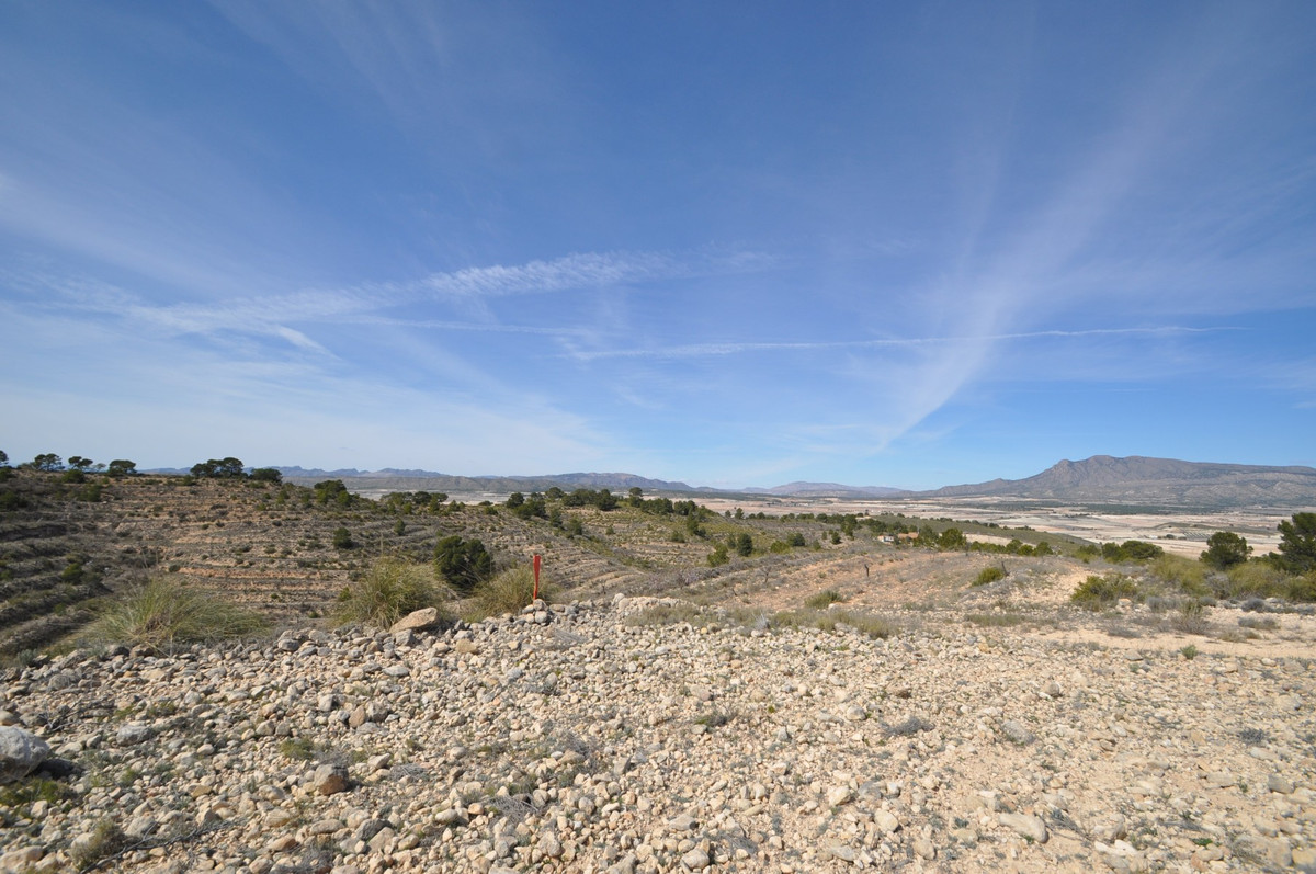 Se vende Terreno Rustico  en Costa Calida, Murcia, España