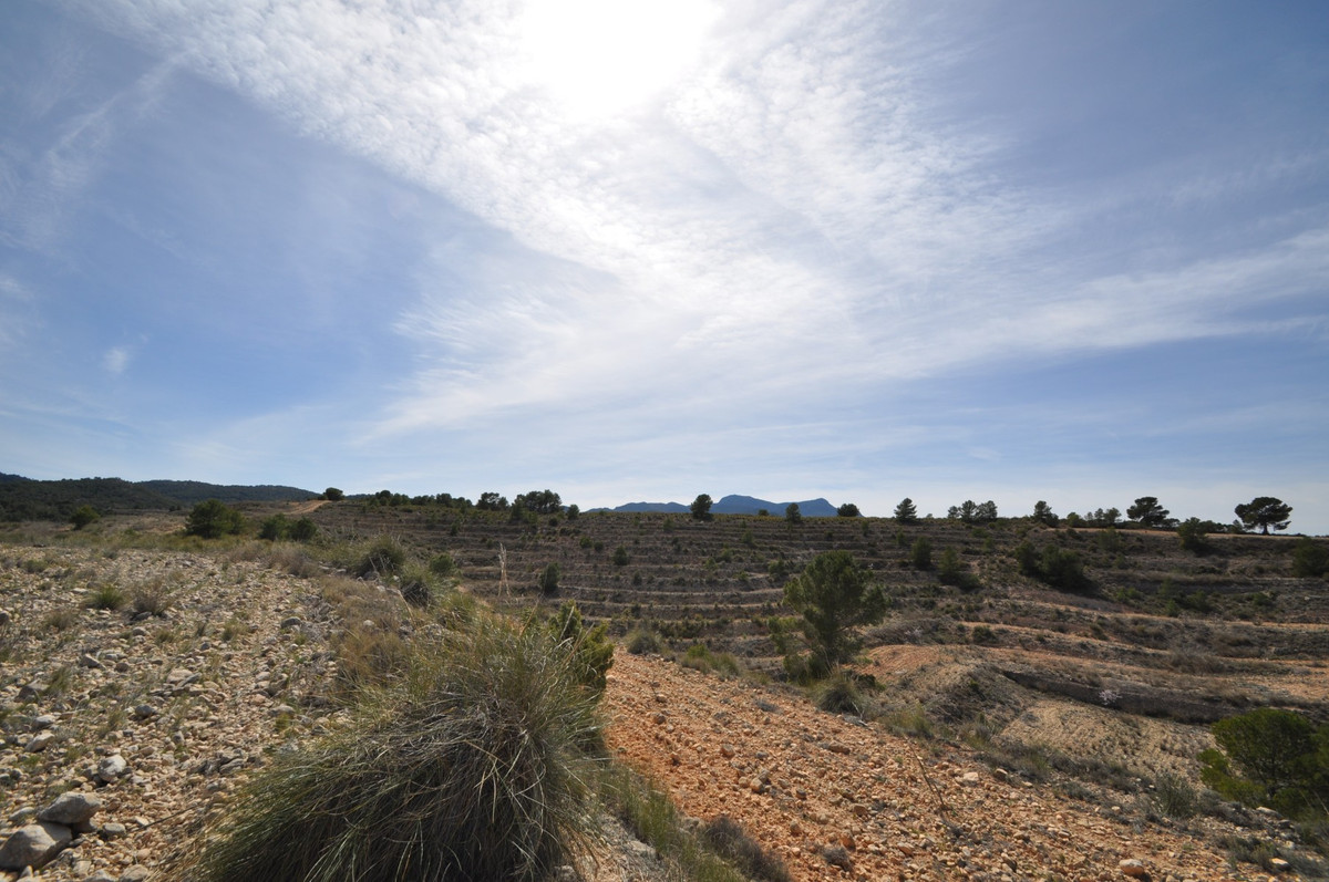 Se vende Terreno Rustico  en Costa Calida, Murcia, España