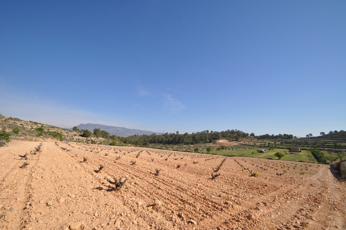 Se vende Terreno Rustico  en Costa Calida, Murcia, España