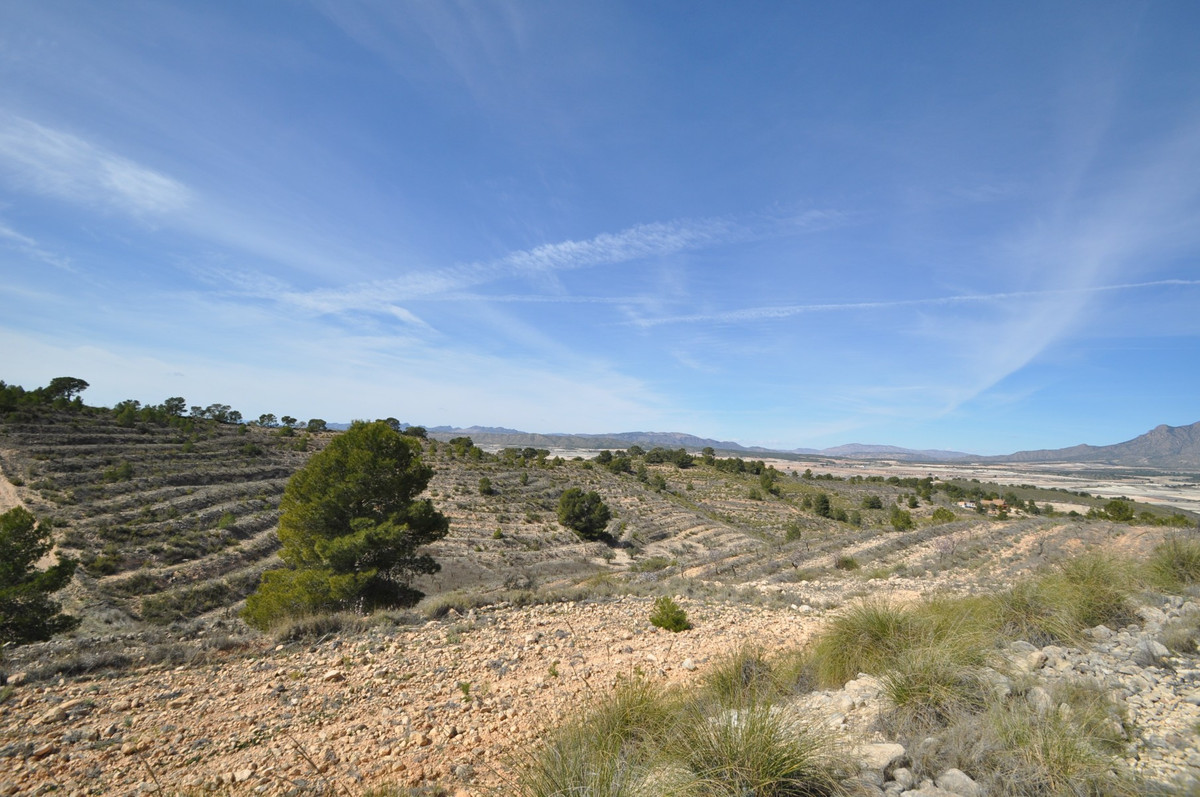Se vende Terreno Rustico  en Costa Calida, Murcia, España