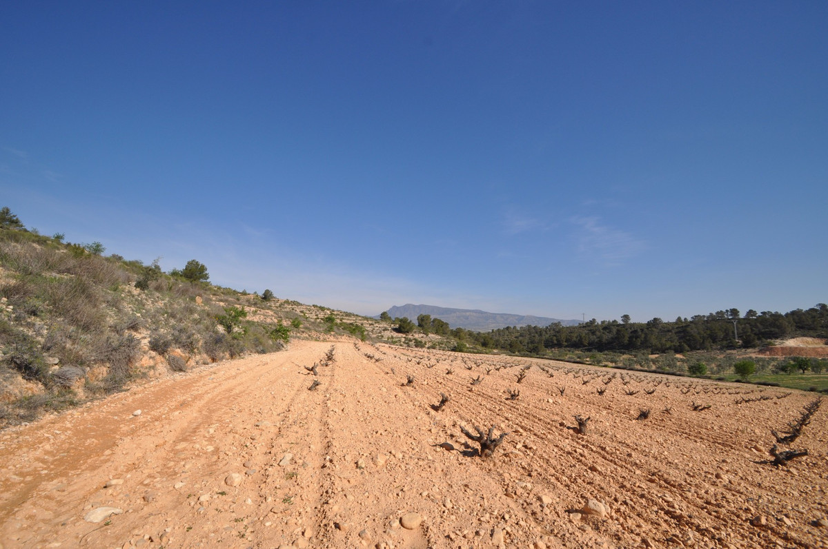 Se vende Terreno Rustico  en Costa Calida, Murcia, España