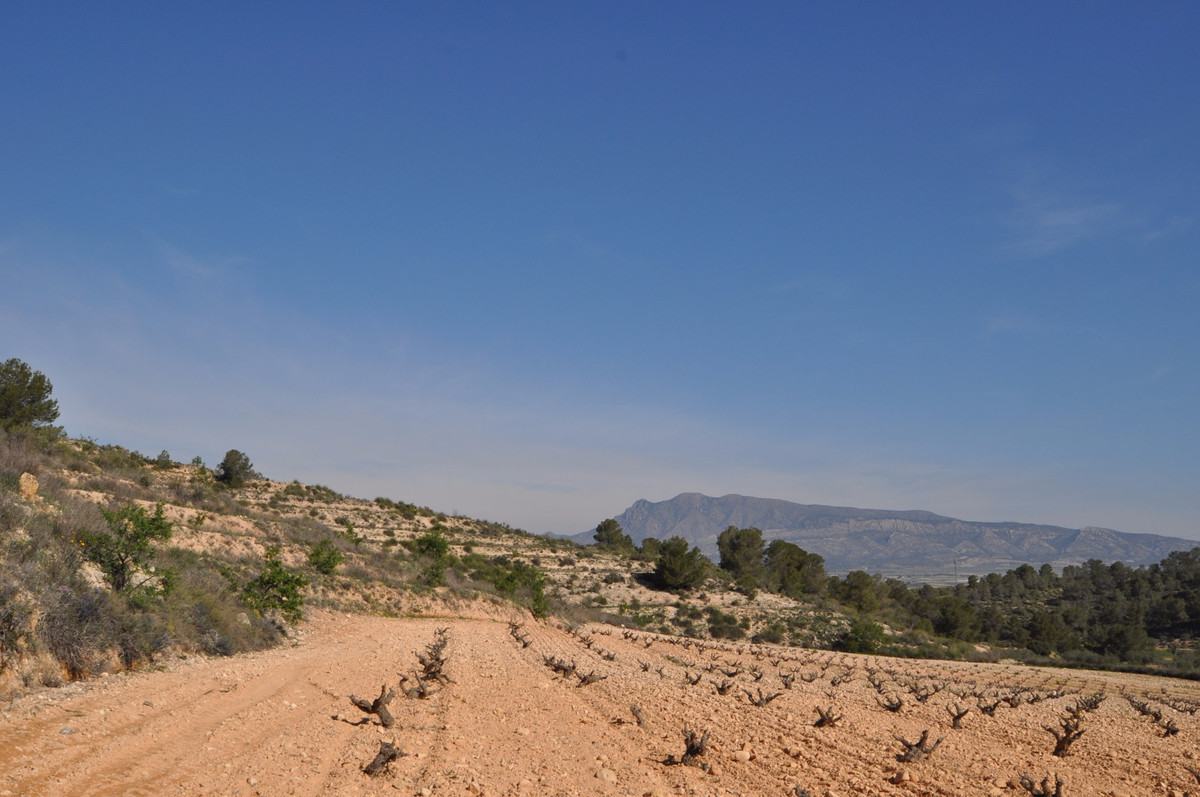 Se vende Terreno Rustico  en Costa Calida, Murcia, España